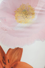 Cabana Blooms Neckholder-Maxikleid aus Mesh, Weiß