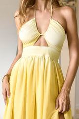 Sunny Blooms Neckholder-Maxikleid Ombré